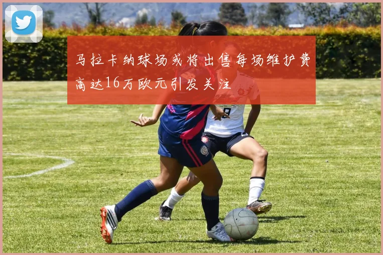 马拉卡纳球场或将出售每场维护费高达16万欧元引发关注