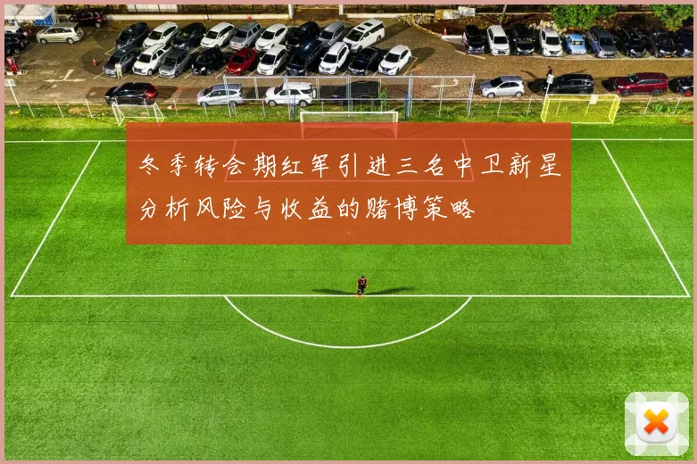 冬季转会期红军引进三名中卫新星分析风险与收益的赌博策略