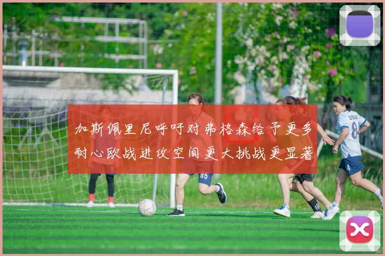 加斯佩里尼呼吁对弗格森给予更多耐心欧战进攻空间更大挑战更显著