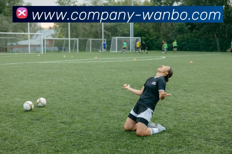 多媒体互动体验